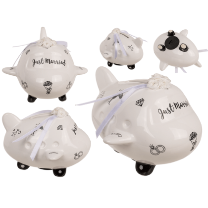 Касичка сватбен самолет