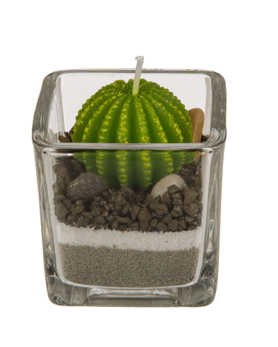 Свещ Кактус 