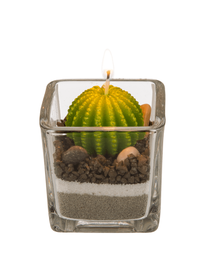 Свещ Кактус 