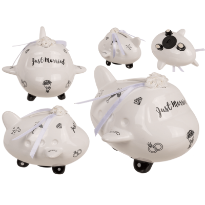 Касичка сватбен самолет