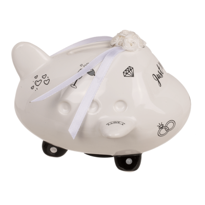 Касичка сватбен самолет