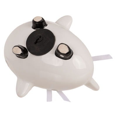 Касичка сватбен самолет